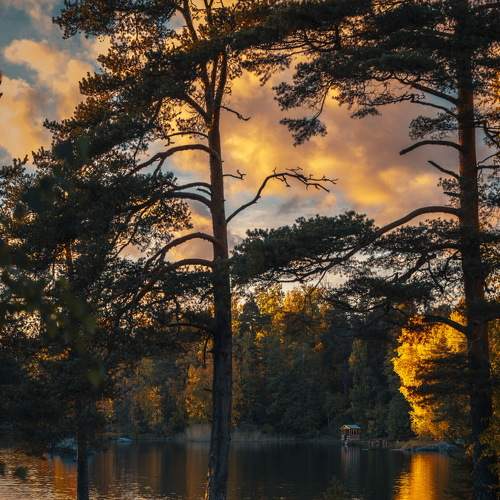 Photo #8895955