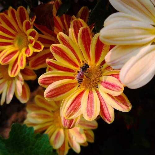 Photo #8896103
