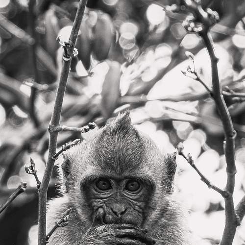 Photo #8896408