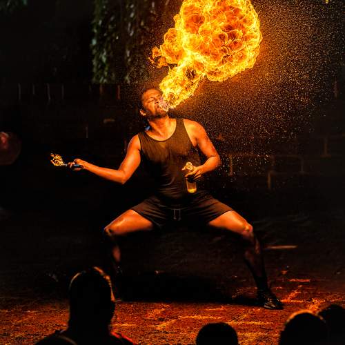 Photo #8896474