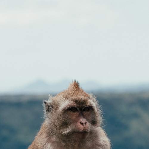 Photo #8896476