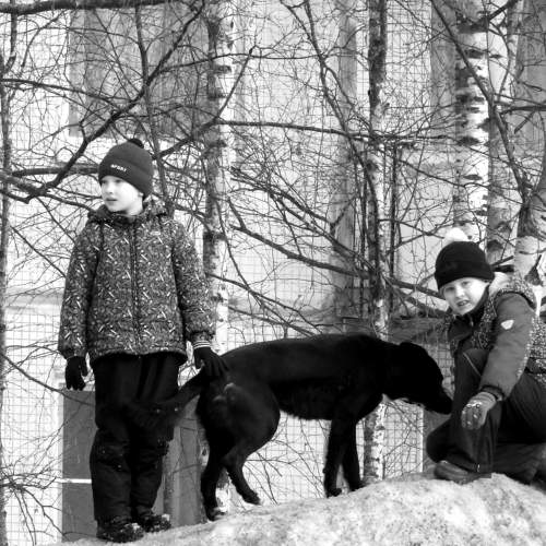 Photo #8896561