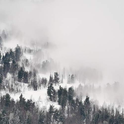 Photo #8896710