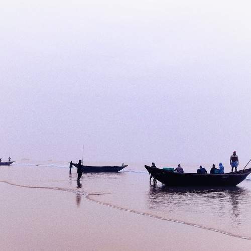 Photo #8896736