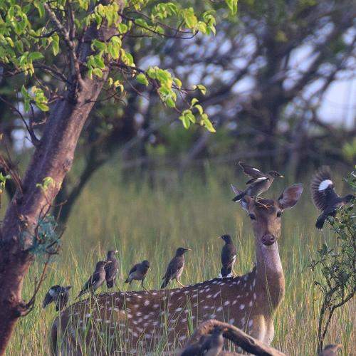 Photo #8897092