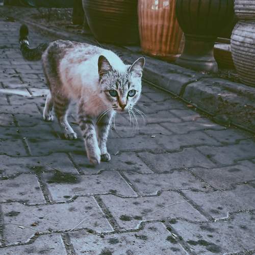 Photo #8897129