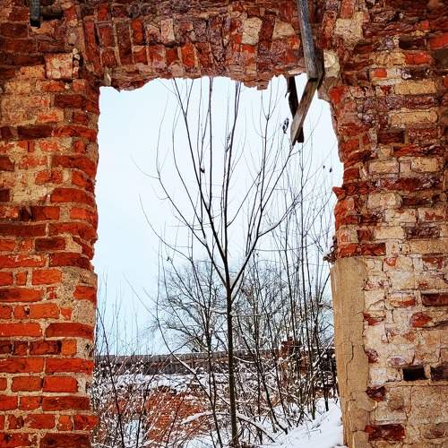 Photo #8897382