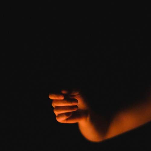Photo #8897419