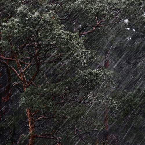 Photo #8897520