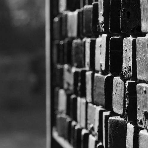 Photo #8897645