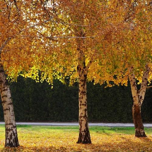 Photo #8897750