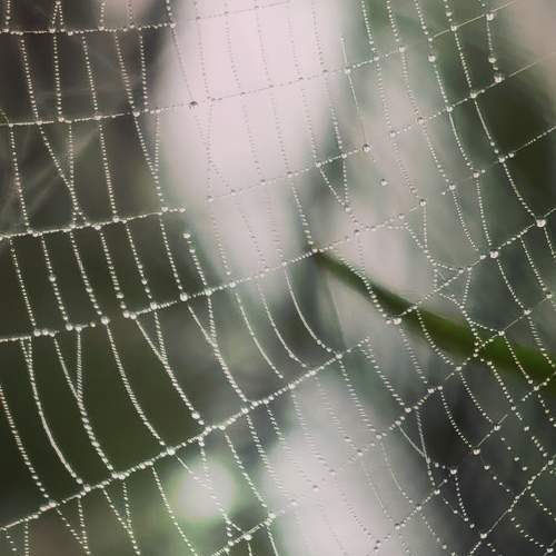 Photo #8897768