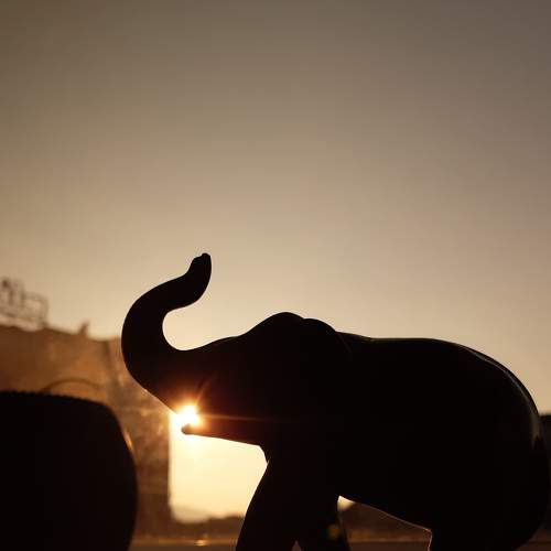 Photo #8897784