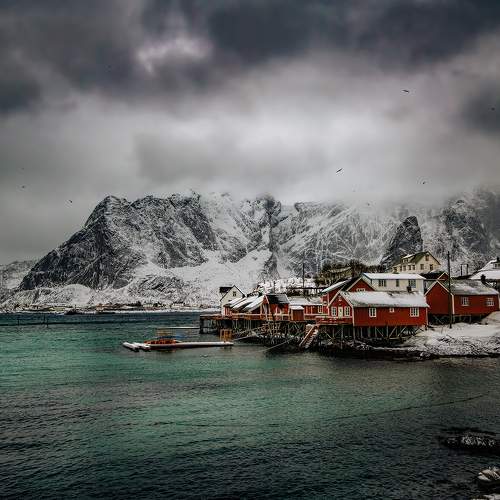 Photo #8897868