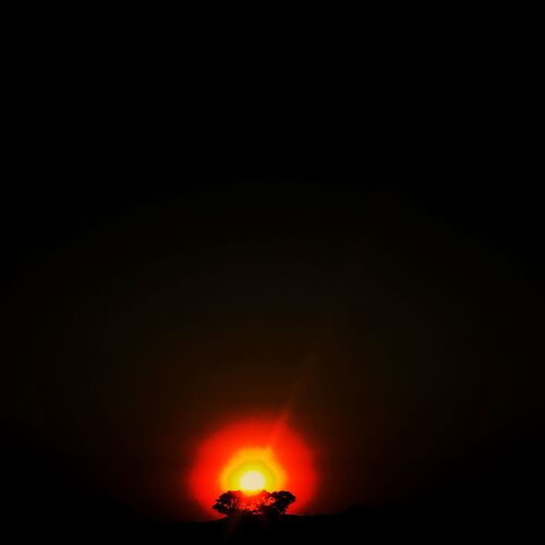Photo #8897918
