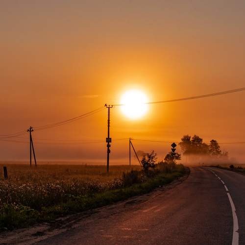 Photo #8898343