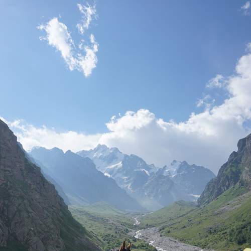 Photo #8898360
