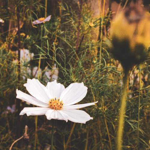Photo #8898450