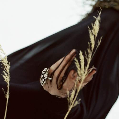 Photo #8898512