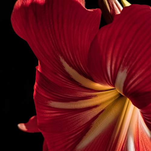 Photo #8898520