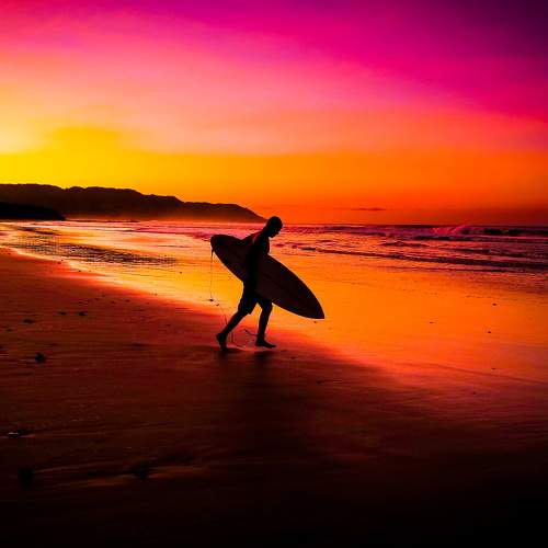 Dawn Surfer