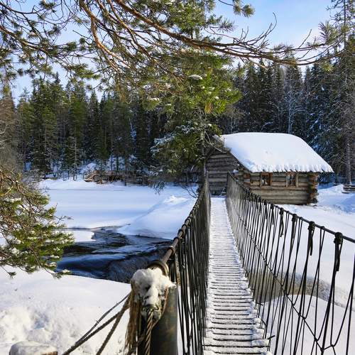 Photo #8898829