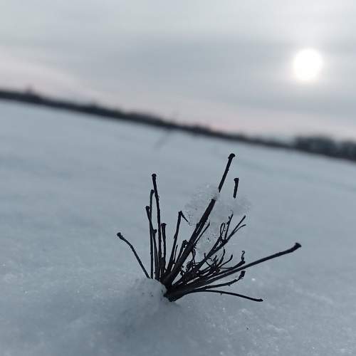 Photo #8898933