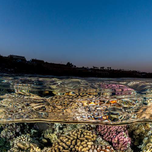 Фотография #8899095