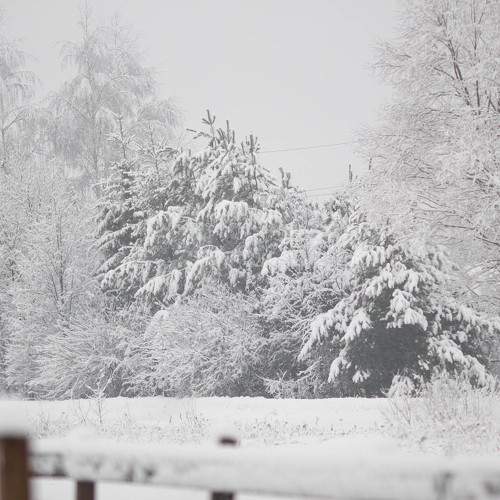 Photo #8899119