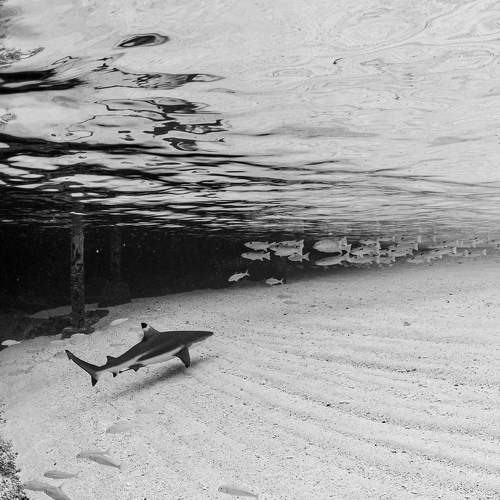 Фотография #8899137