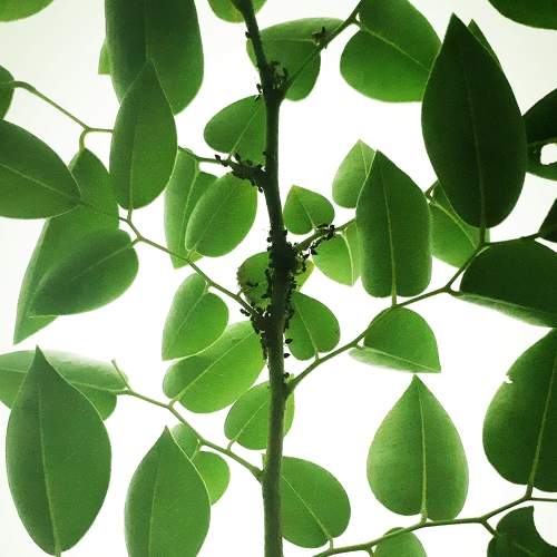 Photo #8899153