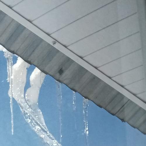 Photo #8899314