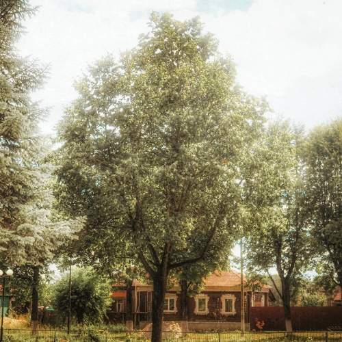 Photo #8899386