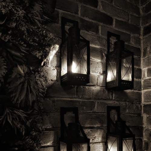 Photo #8899639