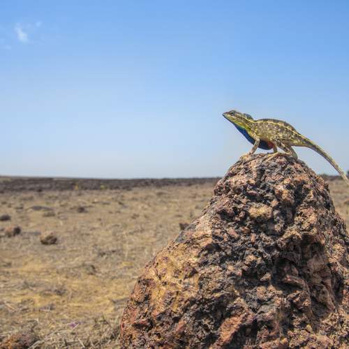 Photo #8899766