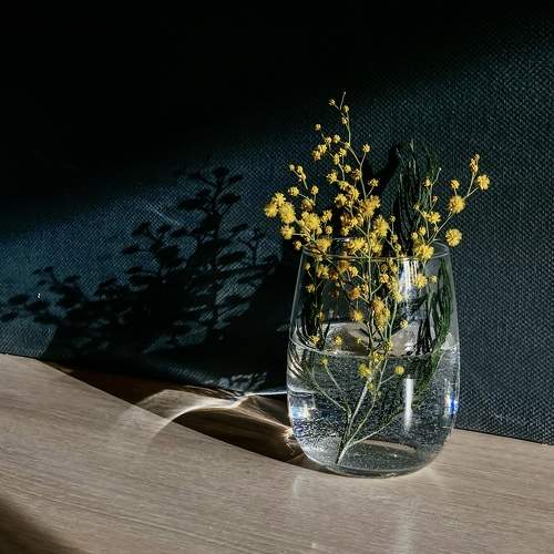 Photo #8899898