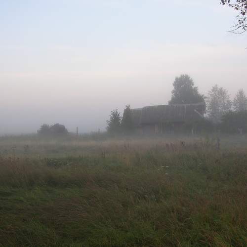 Photo #8900008