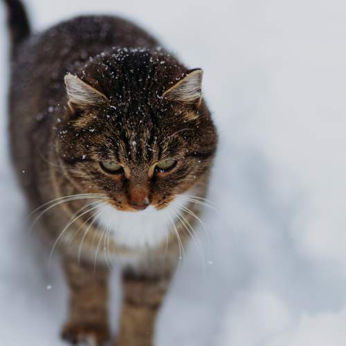 Photo #8900398