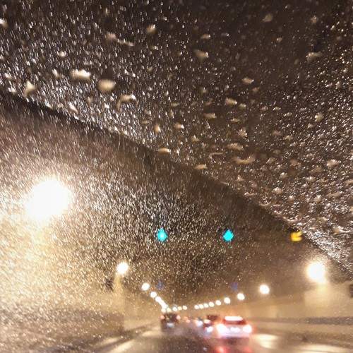 Photo #8900441