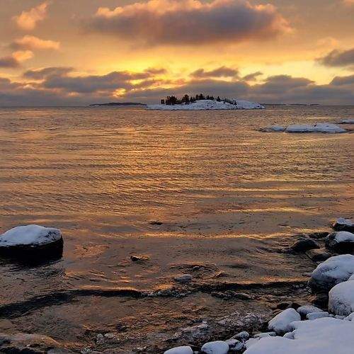 Photo #8900468