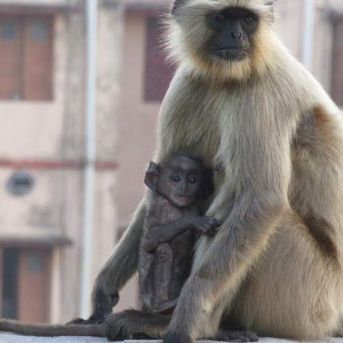 Photo #8900513