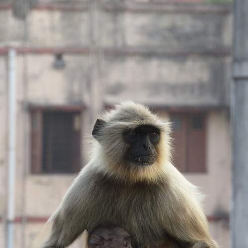 Photo #8900515