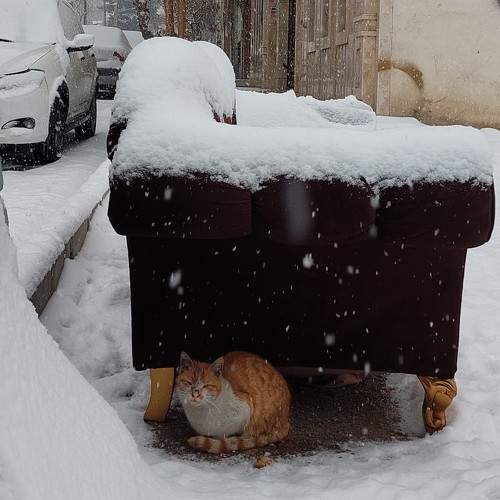 Photo #8900544