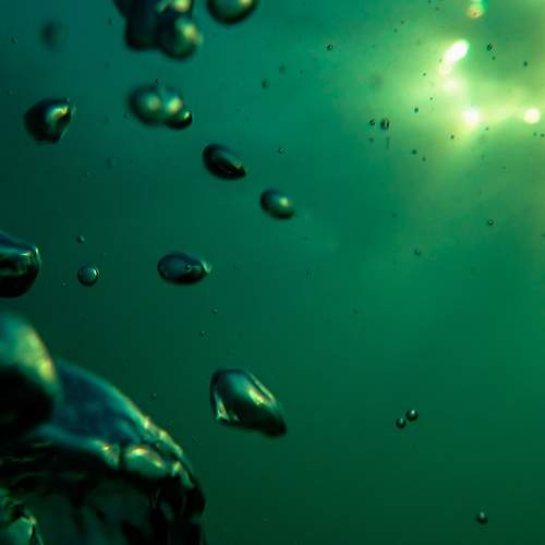 Photo #8900593