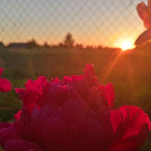 Photo #8900657