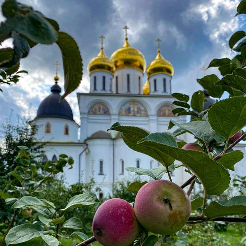 Photo #8900732