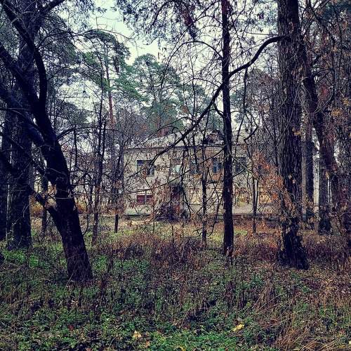 Photo #8900980