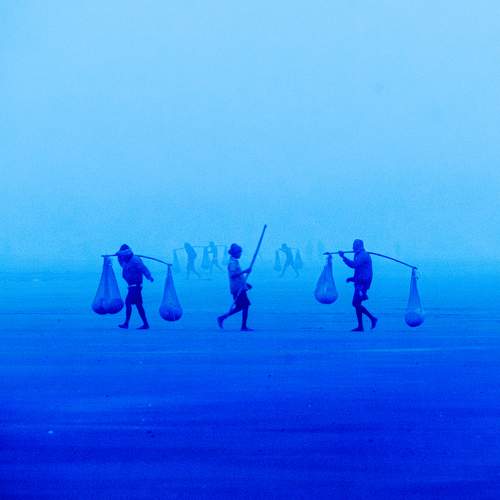Photo #8901016