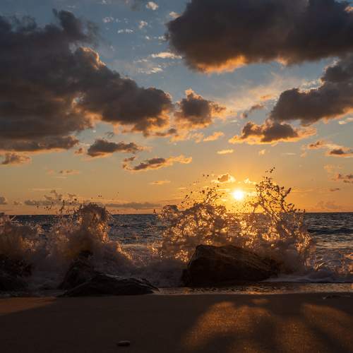 Photo #8901021