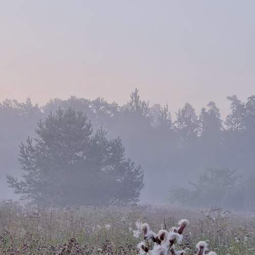 Photo #8901154